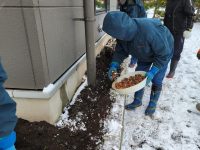 「大雪（たいせつ）」の日❄