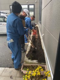 花壇整備を行いました